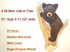 Bears/59-Bear-Cub-in-Tree.jpg