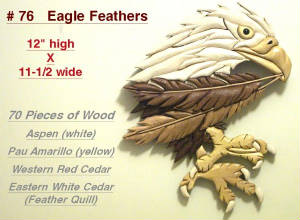 Birds/76-Eagle-Feathers.jpg