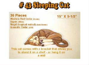Cats/43-Sleeping-Cat.jpg