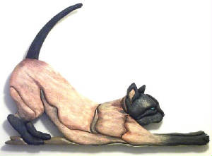 Cats/44-a_Siamese_stretching_cat.jpg