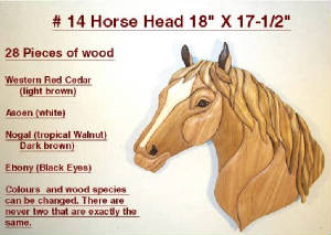 Horses/14-Horse-Head.jpg