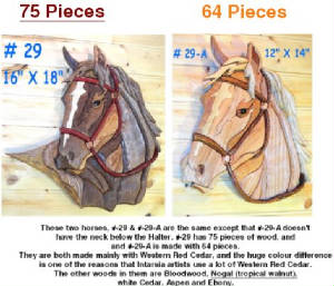 Horses/29-Horse-with-Halter.jpg